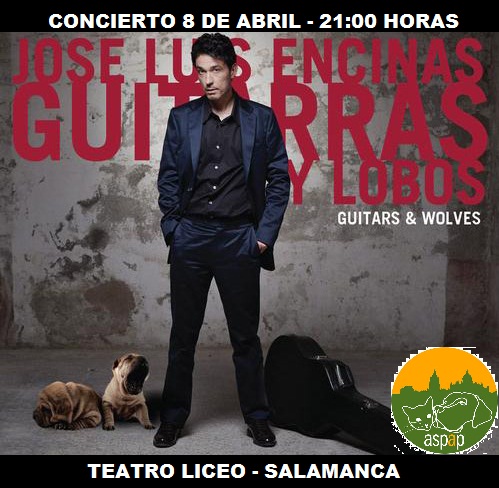 CONCIERTO DE J. LUIS ENCINAS EN FAVOR DE LA PROTECTORA ANIMALES SALAMANCA