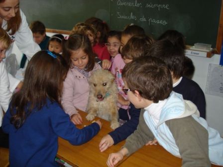 CAMPAÑA NAVIDAD DE ASPAP EN EL COLEGIO LA MILAGROSA