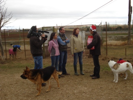 UN PAPA NOEL ESPECIAL EN EL REFUGIO DE LA ASPAP