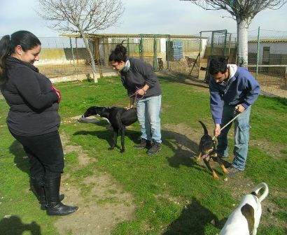 MOMENTOS DE APRENDIZAJE EN EL REFUGIO DE ASPAP