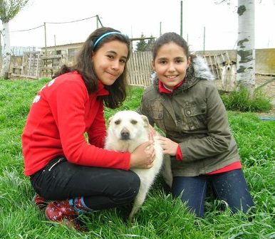 VISITAS MENUDAS EN ASPAP