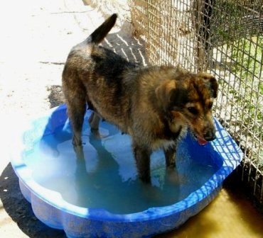 FOTO ELKA PISCINA