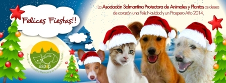 FOTO FELIZ NAVIDAD 2013
