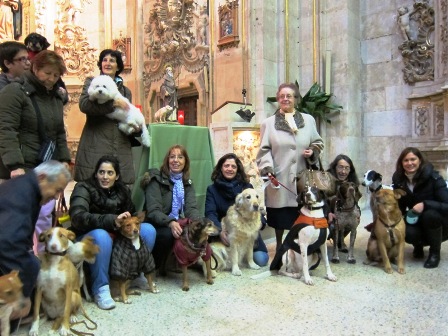 ASPAP Y SUS AMIGOS CELEBRANDO SAN ANTÓN 2014