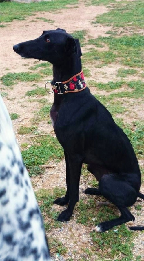 MOKA en Formentera