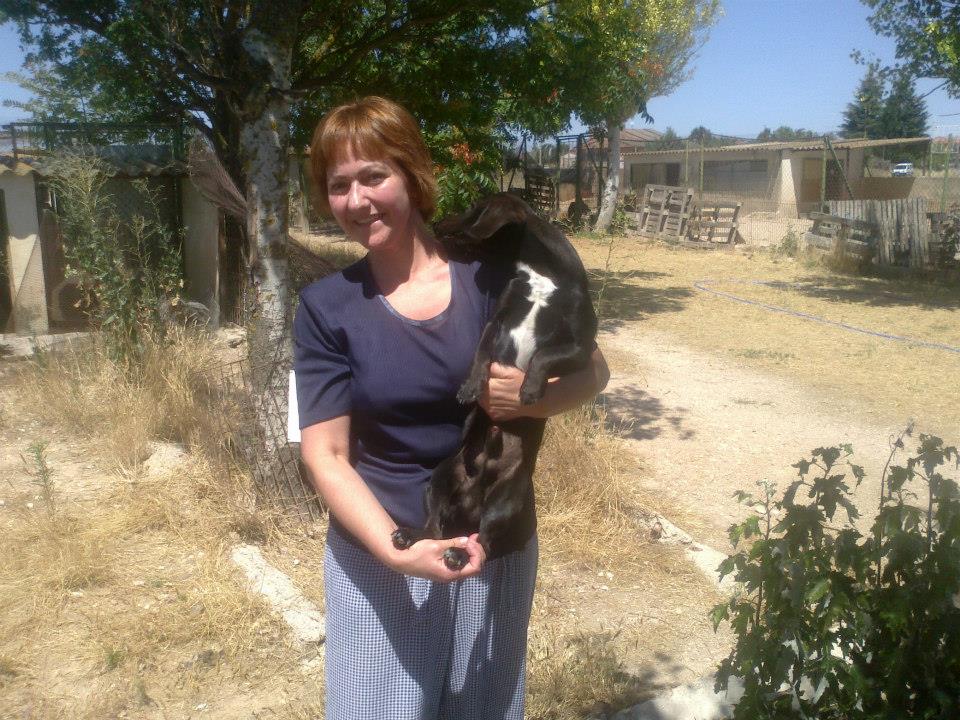 MICO ADOPTADO !!!