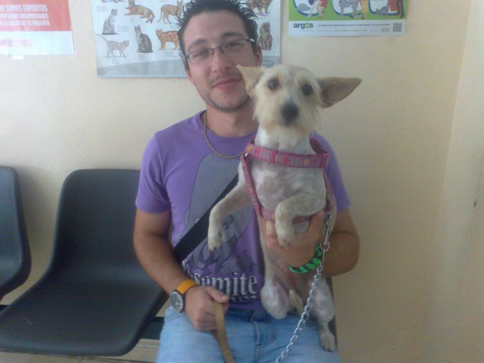 PIPA ADOPTADA!!!