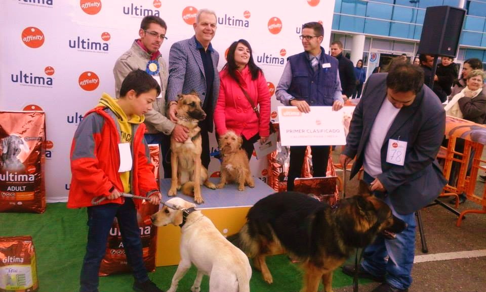 ganadores del concurso de perros