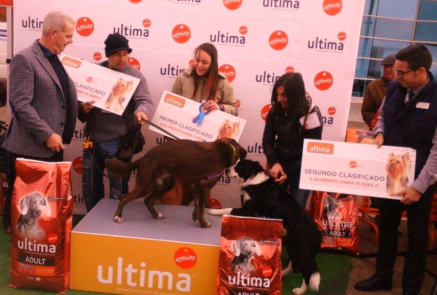 ganadores del concurso de perros