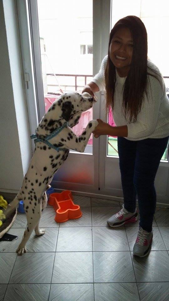 DALMI ADOPTADO!!!