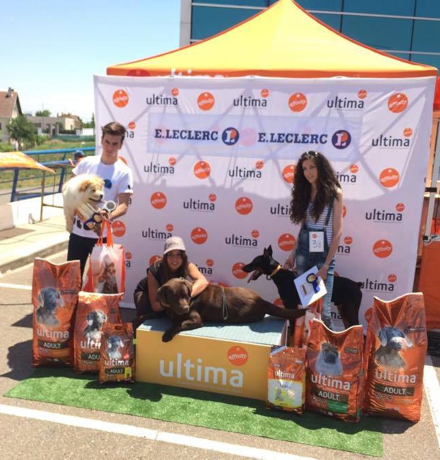 Reparto de premios II desfile de perros