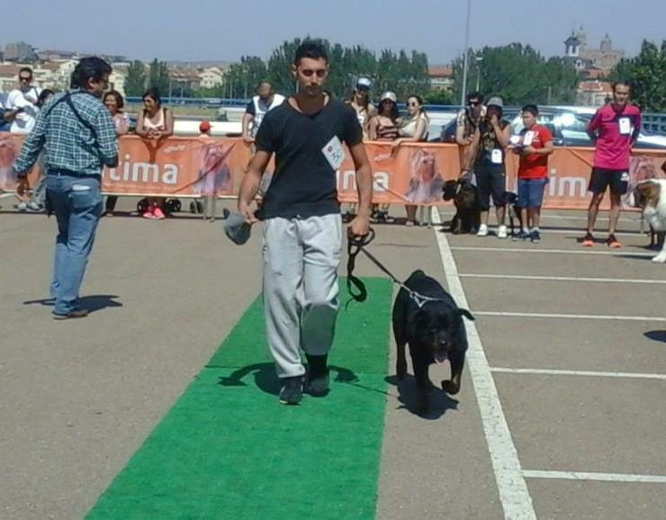 II DESFILE DE PERROS. E.LECLERC- AFFINITY- ASPAP