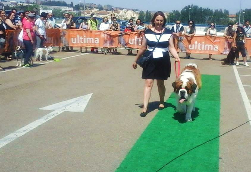 II Desfile de perros
