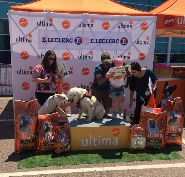 Reparto de premios II desfile de perros