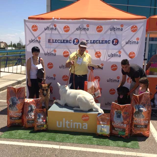 Reparto de premios II desfile de perros