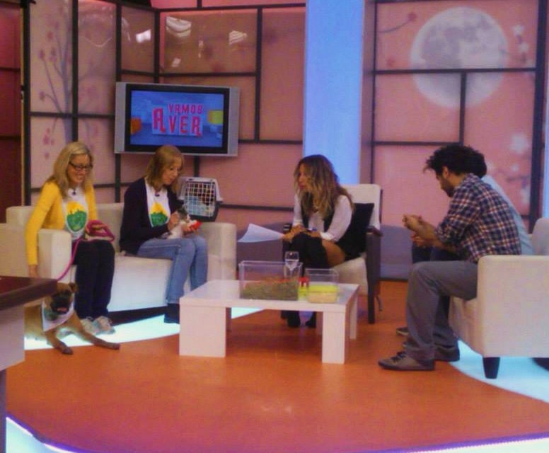 En el plató del programa de la televisón regional