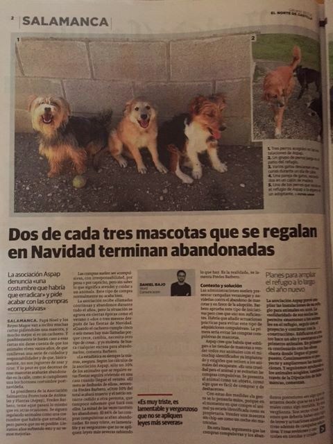 Portada de la protectora en el periódico el Norte de Castilla