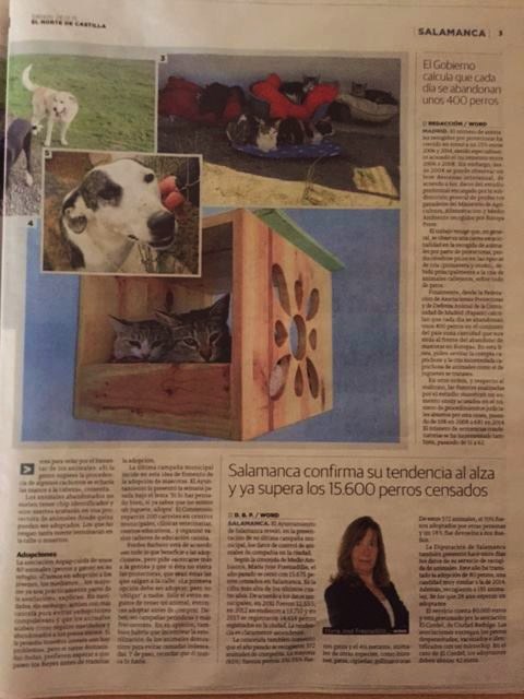 MAGNÍFICO REPORTAJE DE ASPAP, PROTECTORA DE ANIMALES DE SALAMANCA, EN EL PERIÓDICO EL NORTE DE CASTILLA