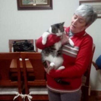 DADO Y KATI