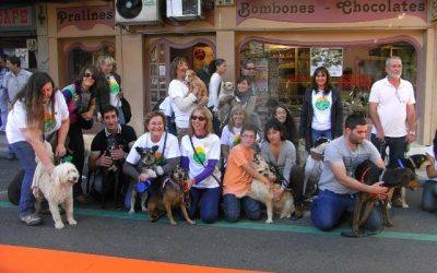 DESFILE DE LOS ANIMALES DE ASPAP EN EL DÍA DE LA MASCOTA