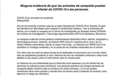 COMUNICADO AVEPA: LOS ANIMALES DE COMPAÑÍA NO TRANSMITEN EL COVID-19 A LAS PERSONAS