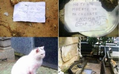 NUEVOS CASOS DE MALTRATO A LOS GATOS DEL CEMENTERIO Y AMENAZAS A LA GENTE DE ASPAP
