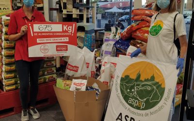 CARRITO SOLIDARIO EN KIWOKO