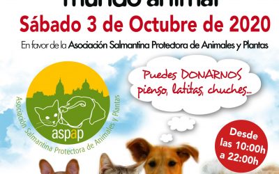 RECOGIDA DE ALIMENTOS PARA EL REFUGIO