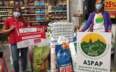 ÉXITO EN LA RECOGIDA DE ALIMENTOS