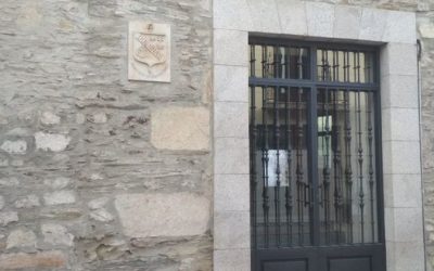 DENUNCIA POR CAPTURA INDISCRIMINADA DE GATOS