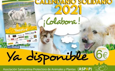 ¡¡YA TENEMOS NUESTRO CALENDARIO 2021!!