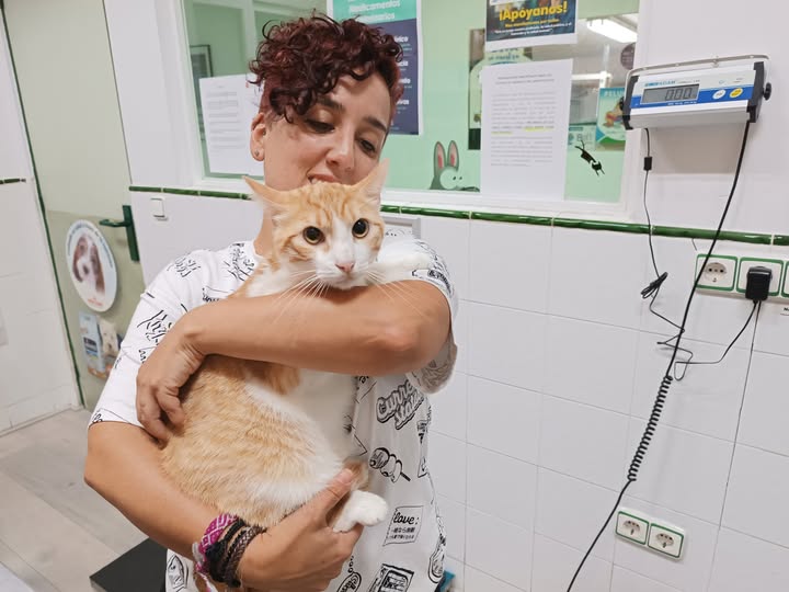 PoeAdoptadoLauraRicardo