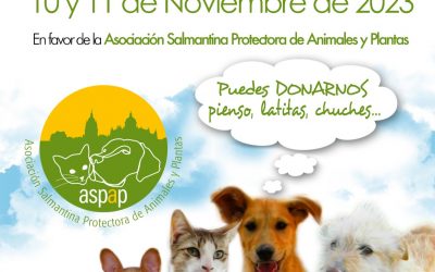 CARREFOUR SOLIDARIO ASPAP 2023