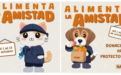 CARRITO SOLIDARIO EN GADIS A FAVOR DE ASPAP
