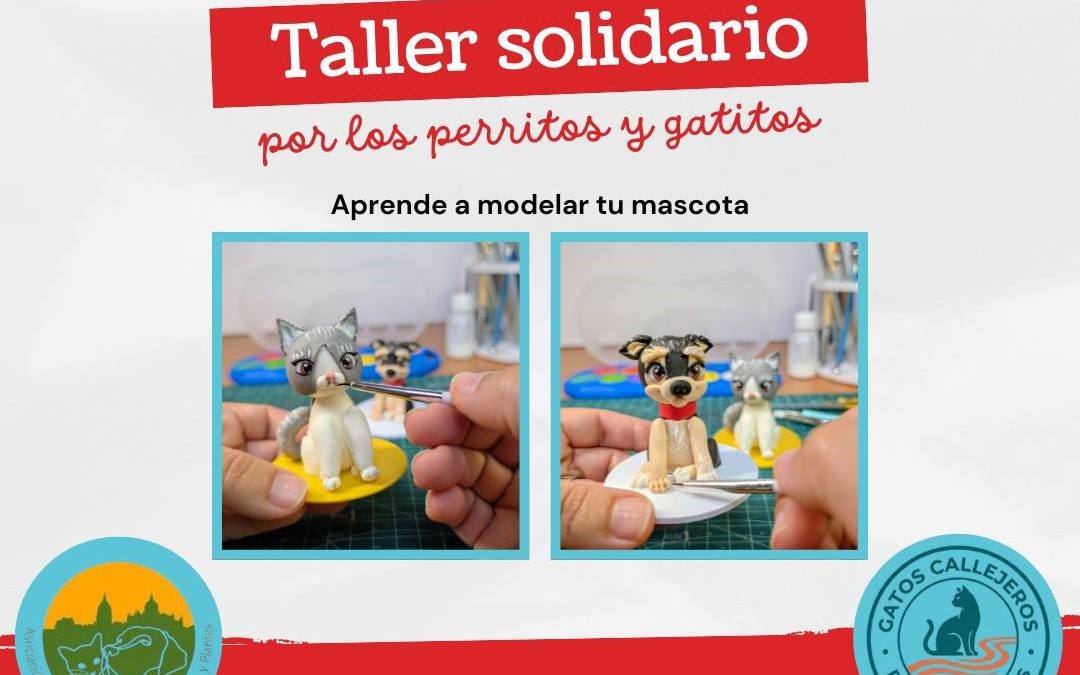 TALLER SOLIDARIO
