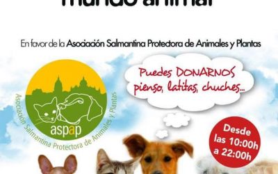 CARRITO SOLIDARIO en favor de ASPAP en KiWOKO
